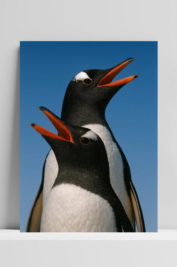 Fotografie