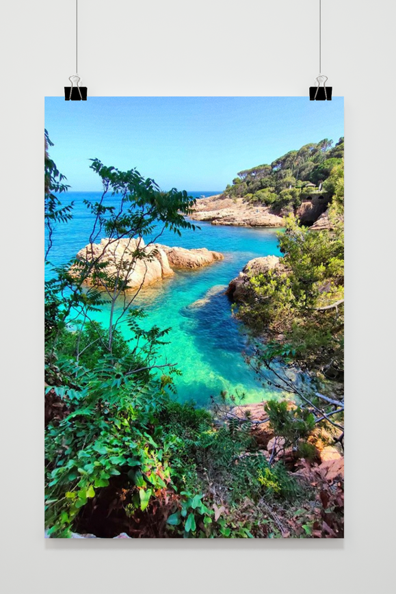 Beach Nature