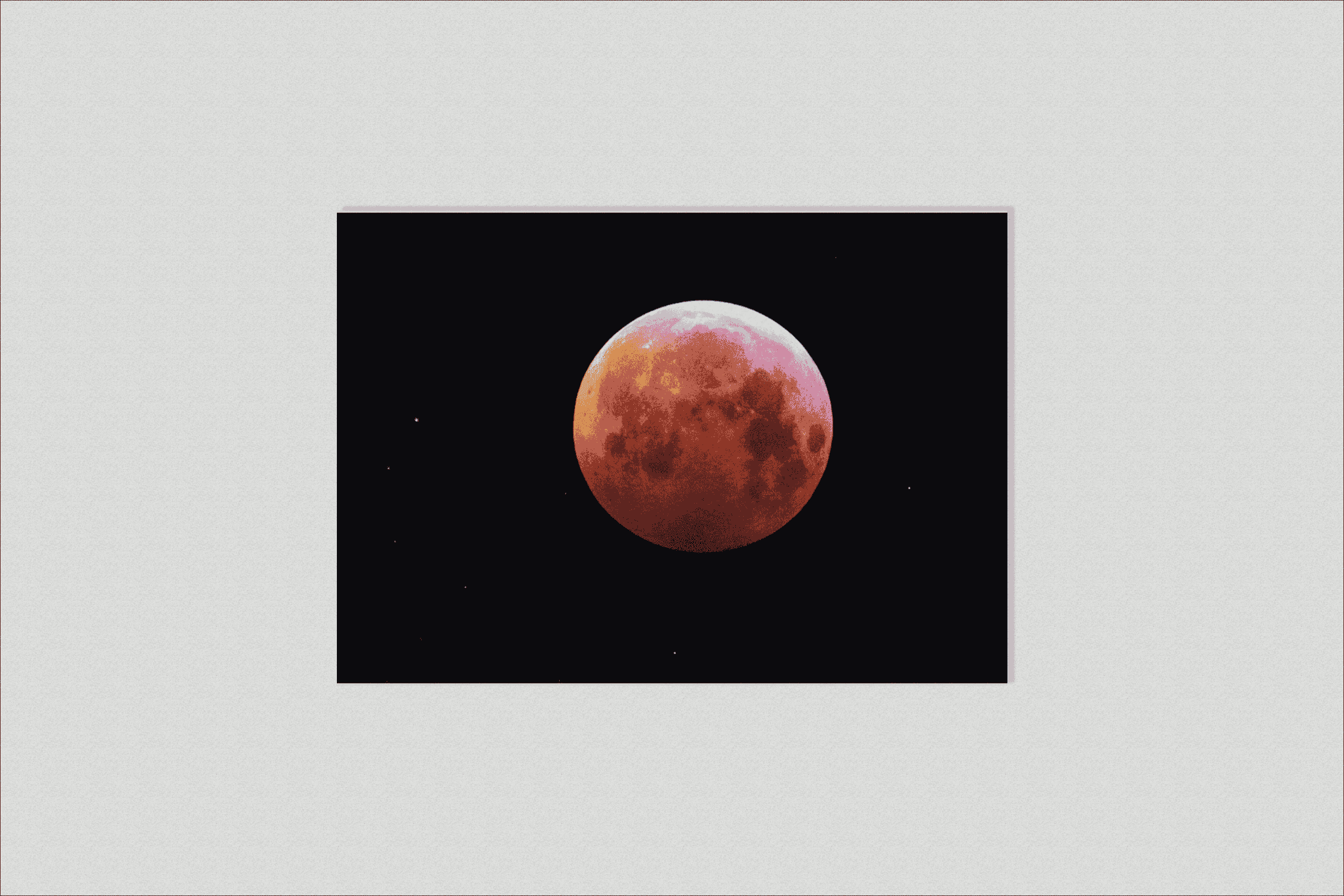 Bloedmaan