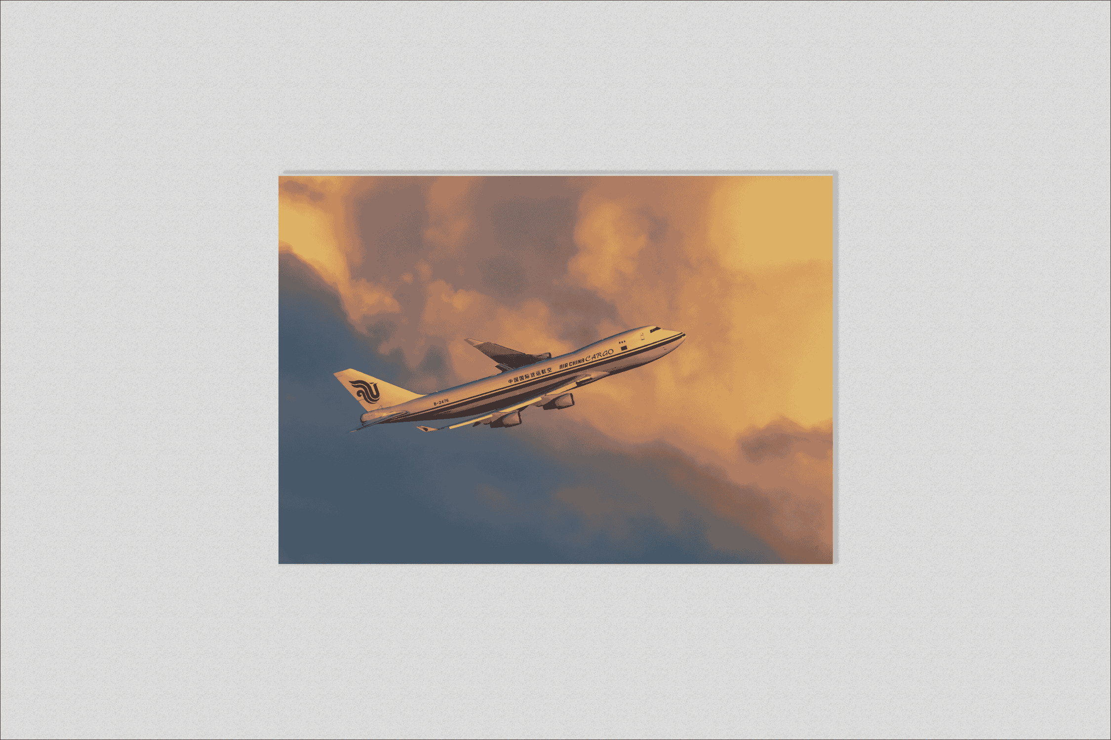 Airplane in Flight