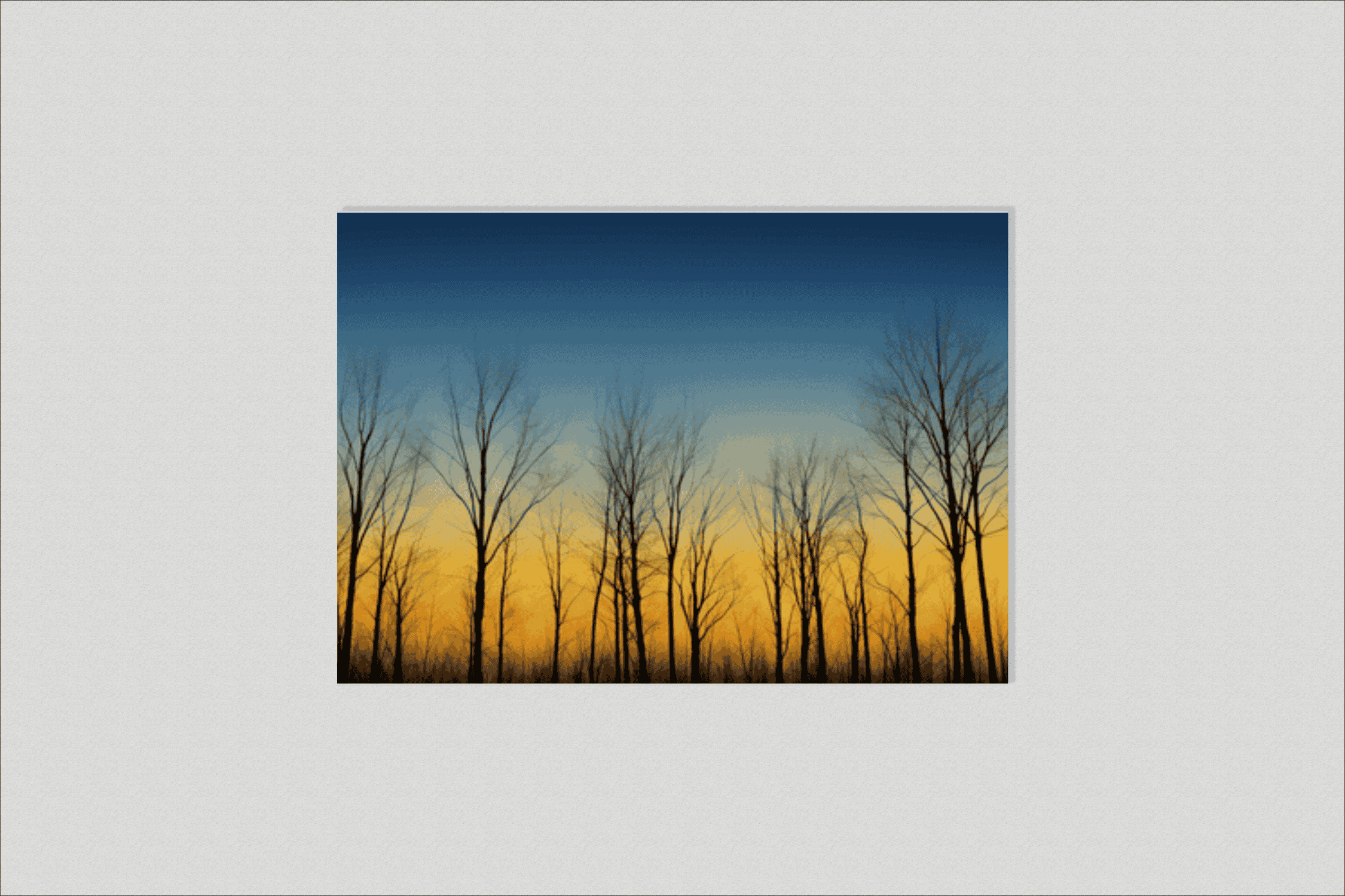 Winter Trees