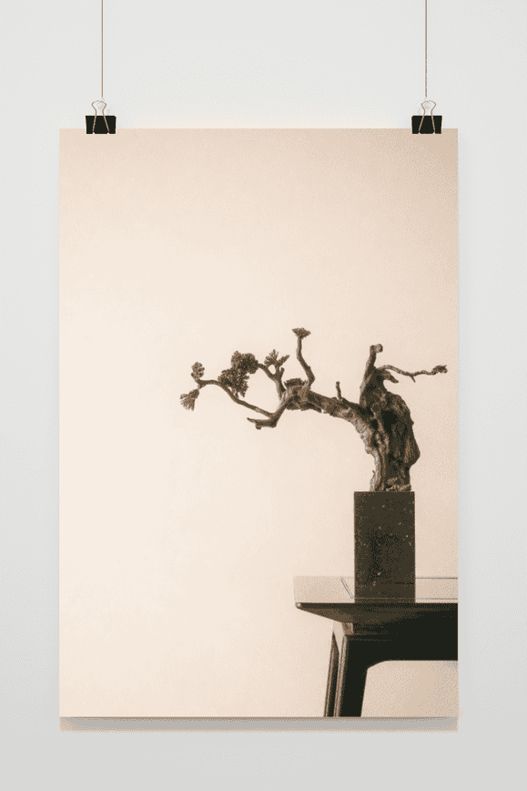 Bonsai