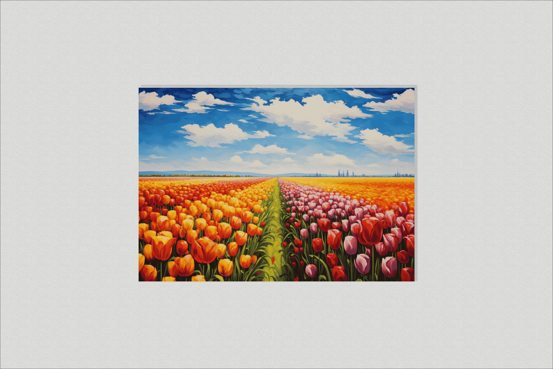 Tulip fields