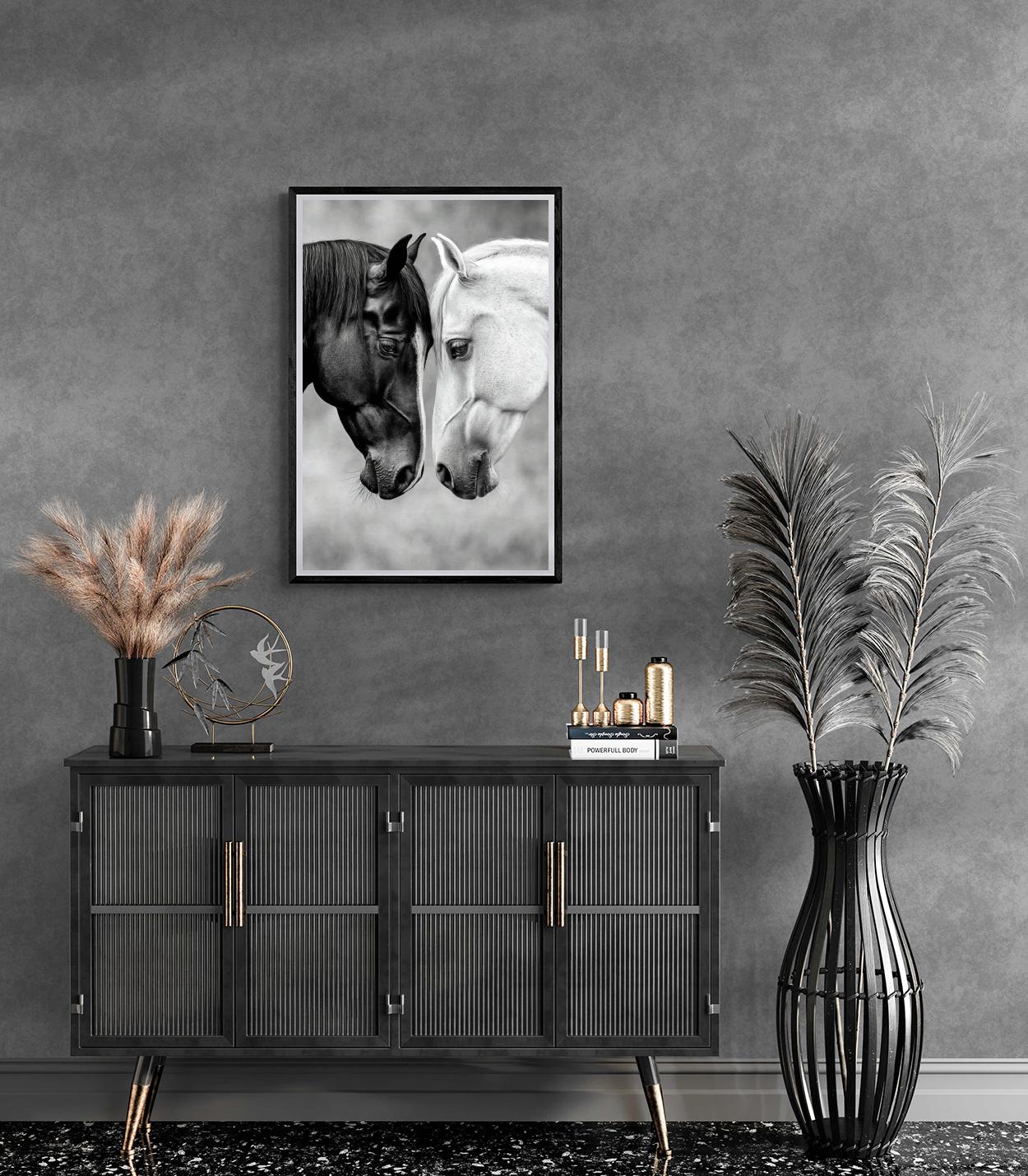 Paarden