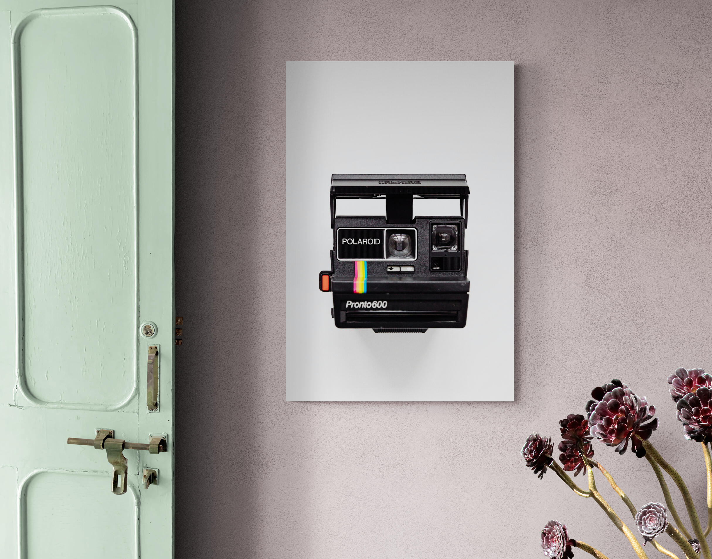 Polaroid