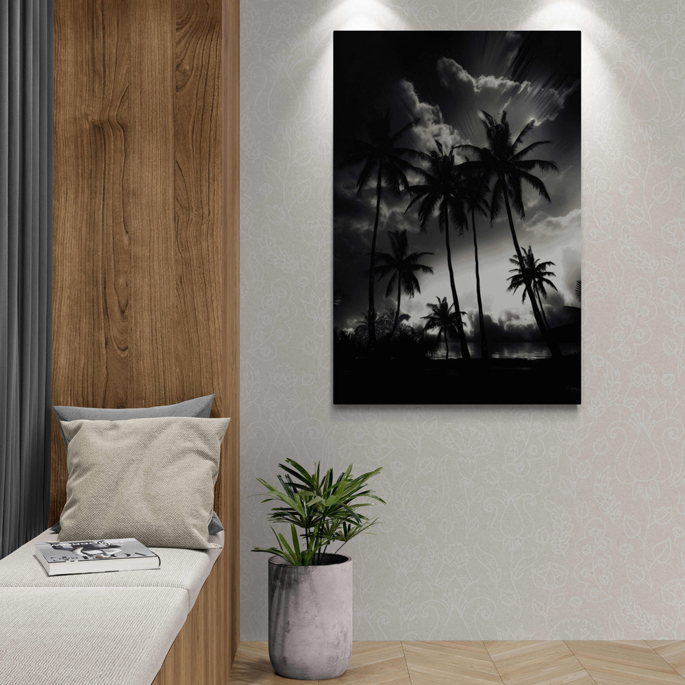 Black White Palm Trees