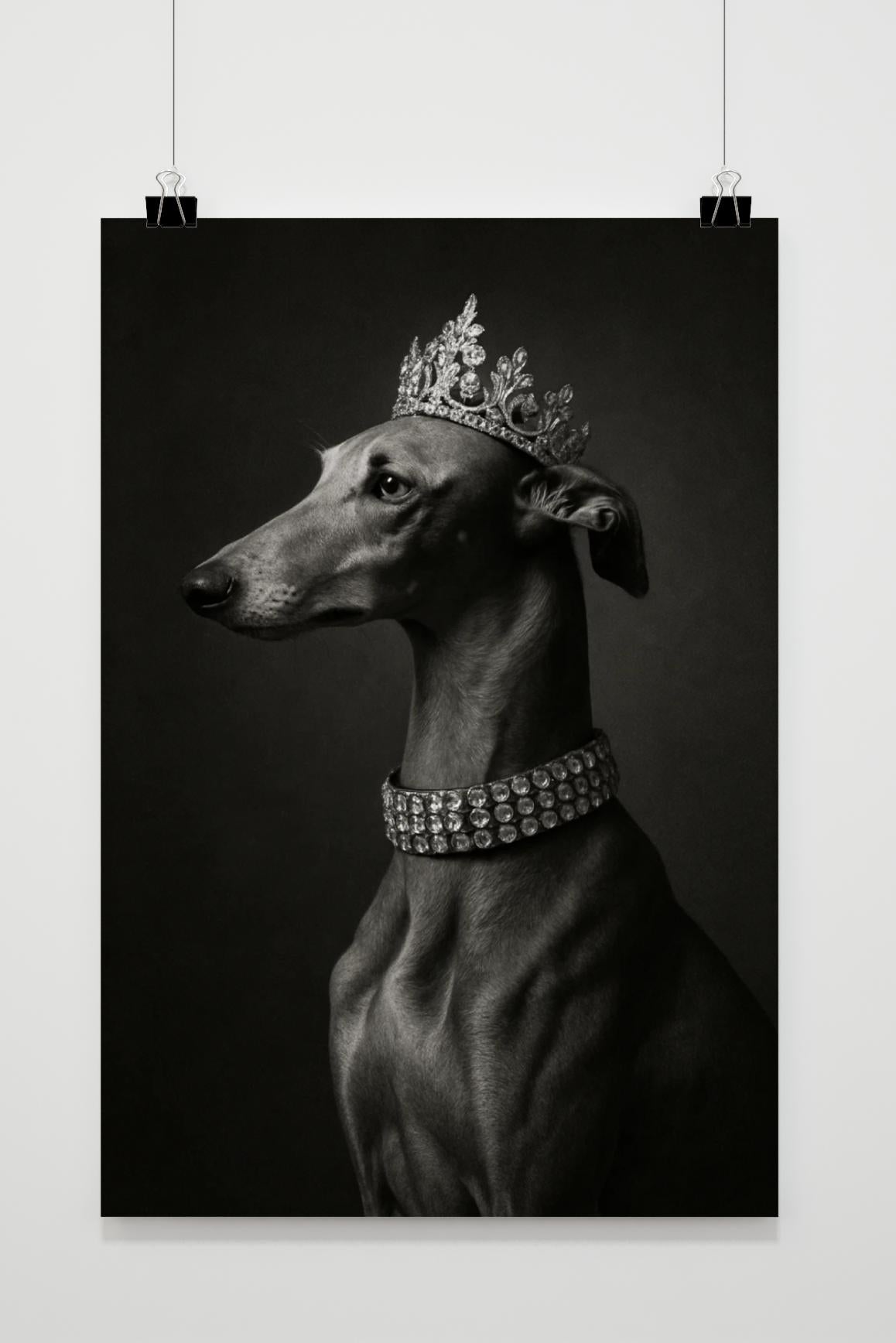 Greyhound Dog Crown Zwart-Wit in interieur