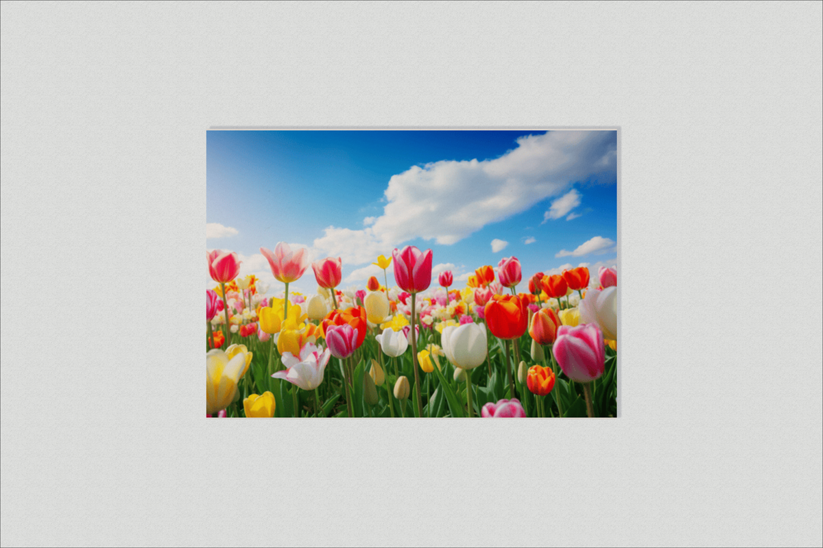 Tulpenveld en un interior