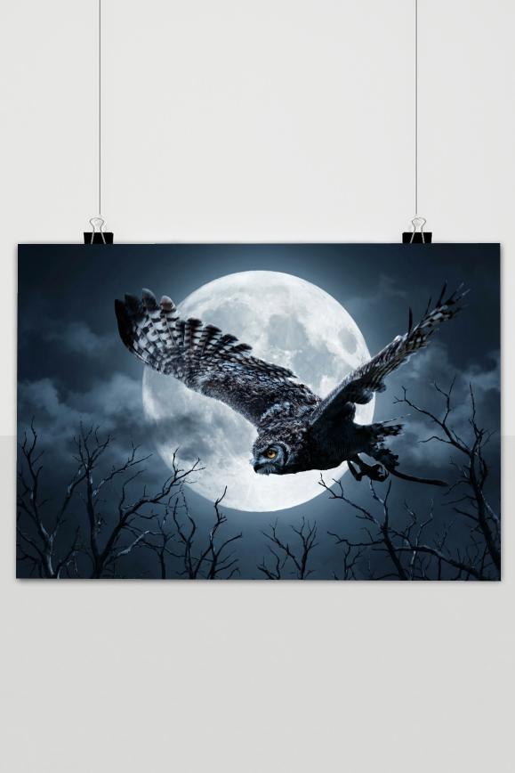 Póster Búho en Vuelo de 25 Artstreet