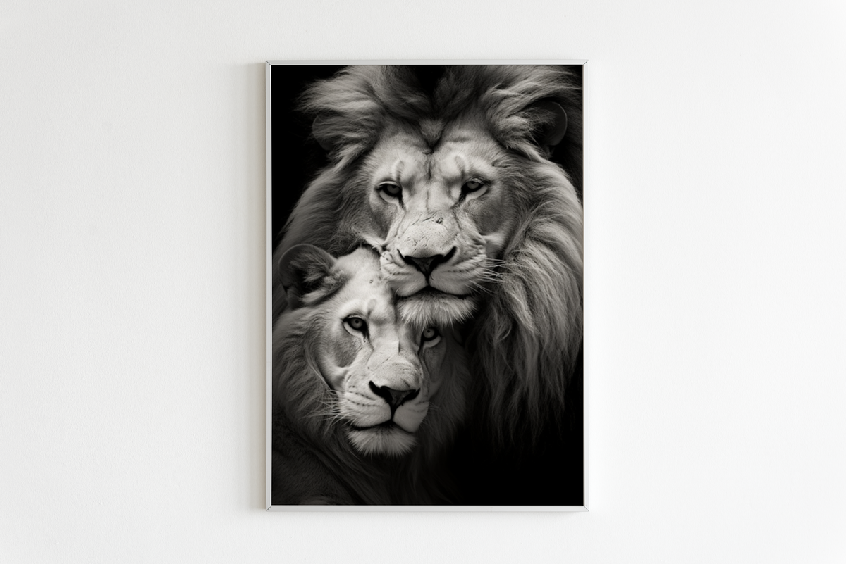 Leones Blanco y Negro en un interior