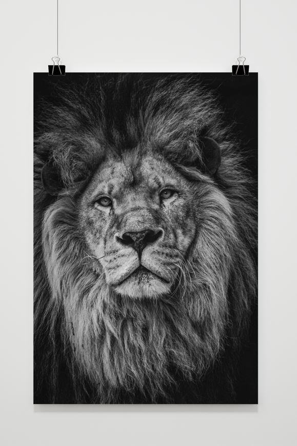 Póster León