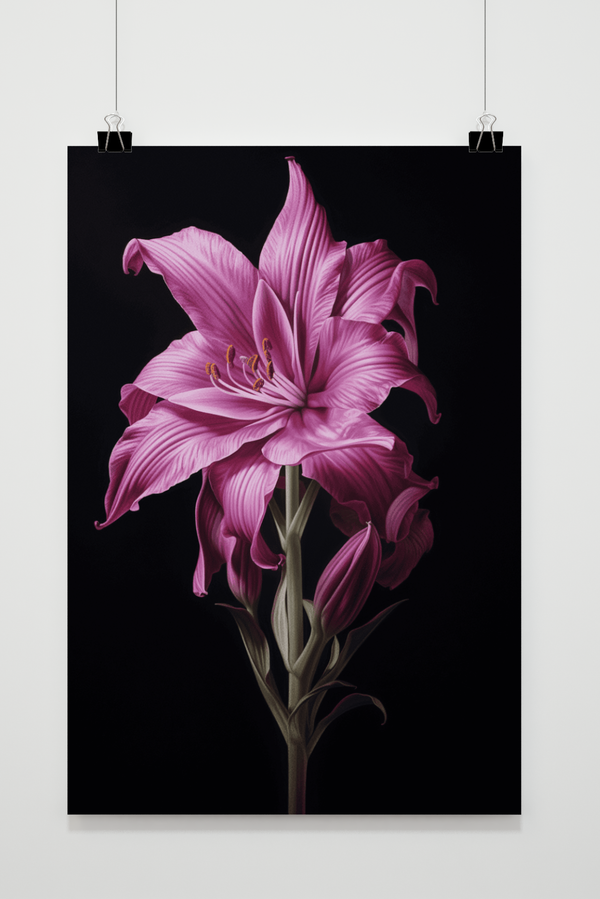 Roze Bloem Poster