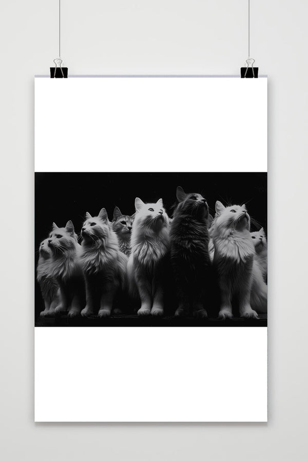 Póster Grupo de Gatos