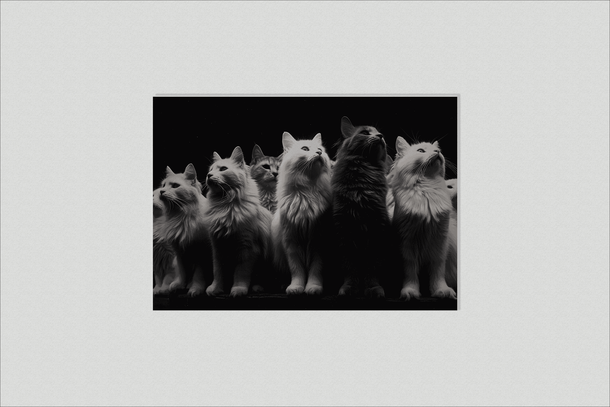 Grupo de Gatos en un interior