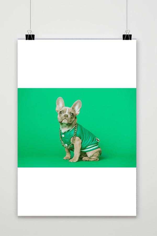 Groene Bulldog poster