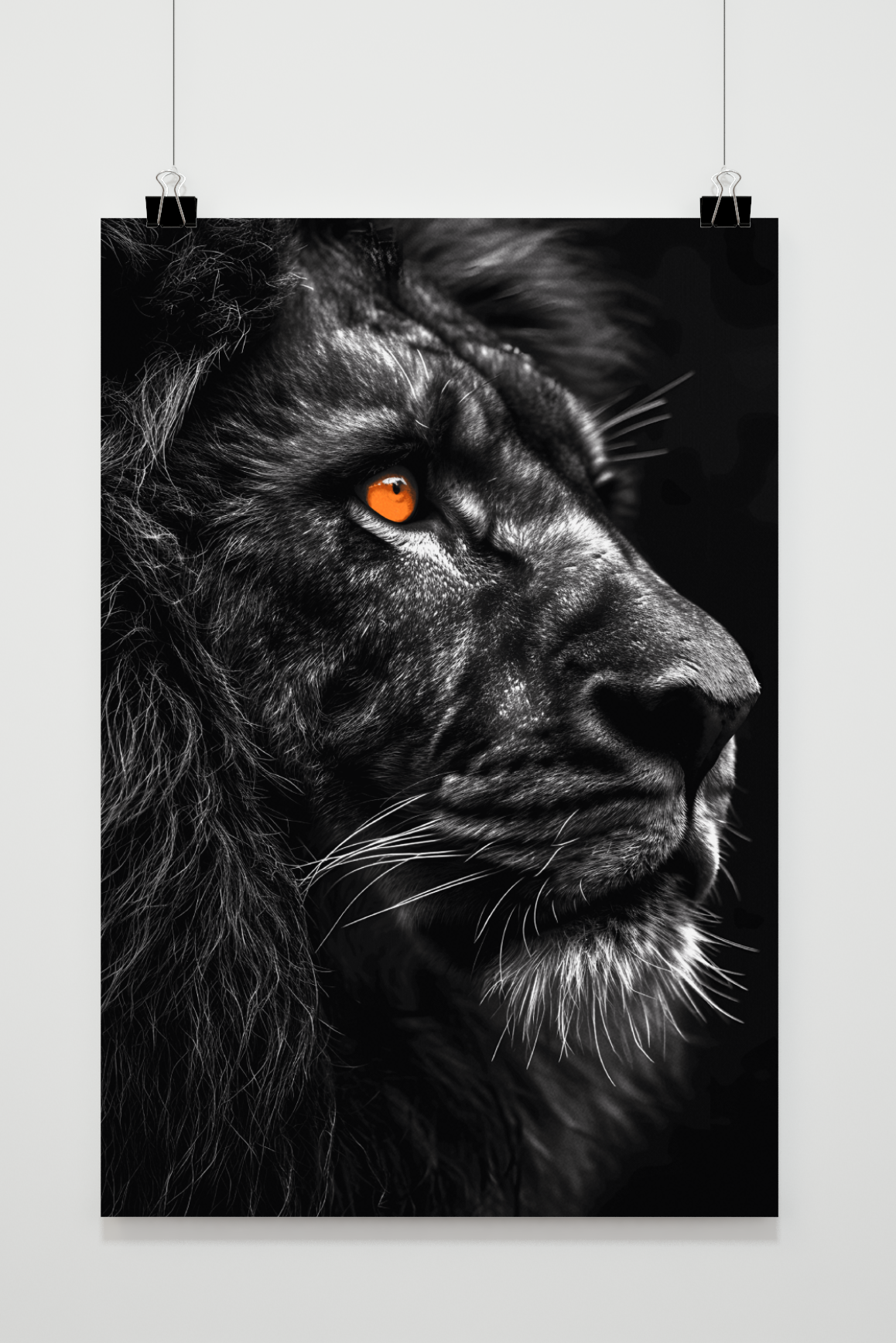 Póster León Negro de 25 Artstreet