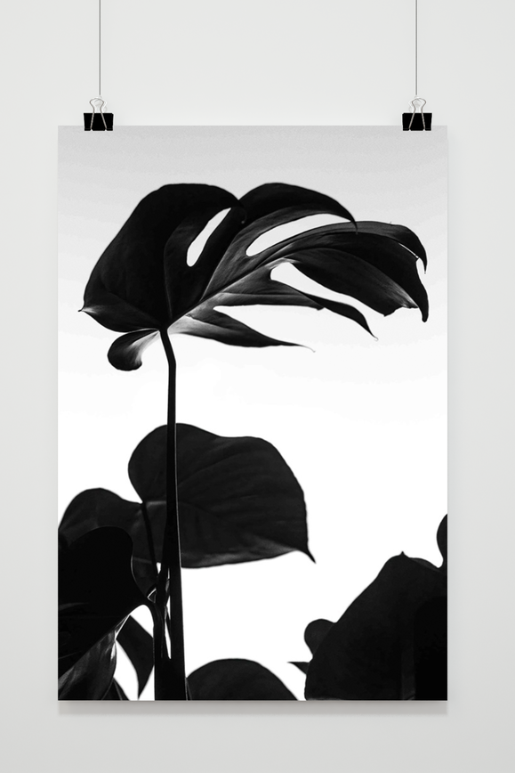 Póster Monstera de 25 Artstreet