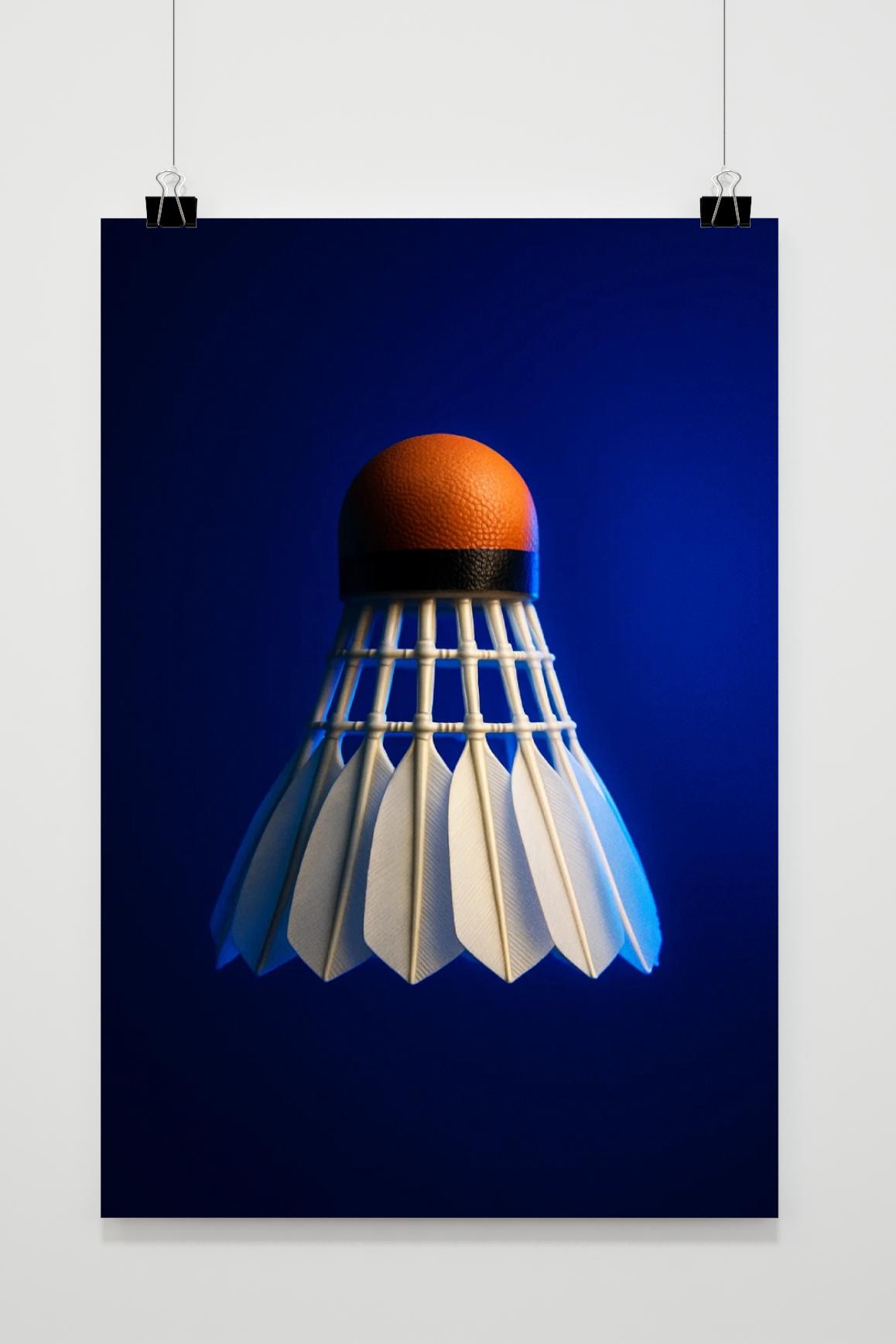 Badminton Shuttlecock in interieur