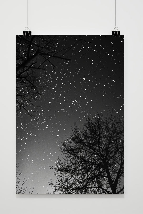 Póster Cielo Nocturno