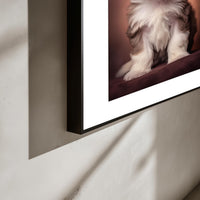Shih Tzu Pup poster aan de muur in interieur