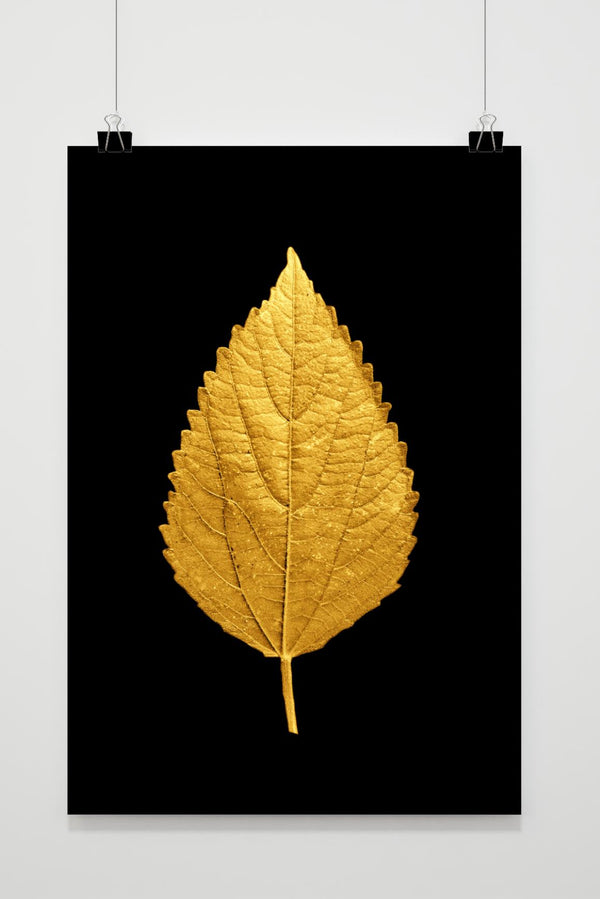 Goldenes Blatt Poster