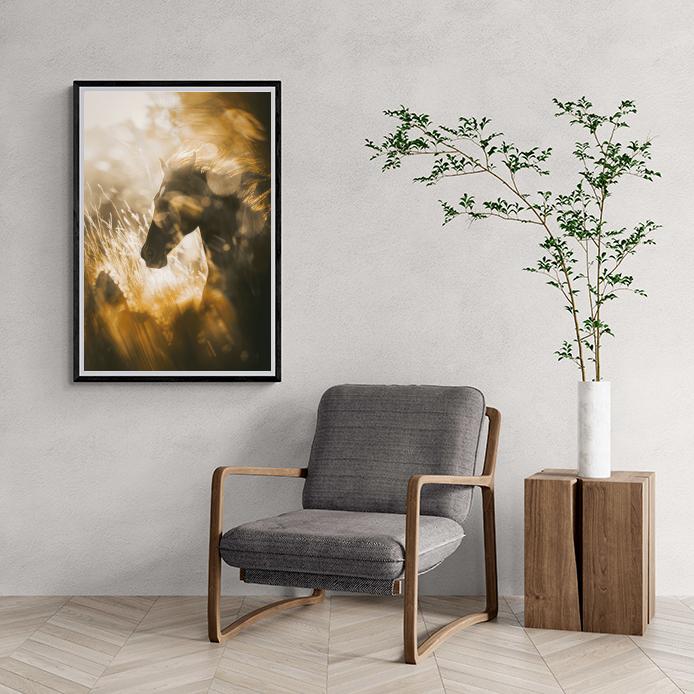 Paard Zonlicht dans un intérieur