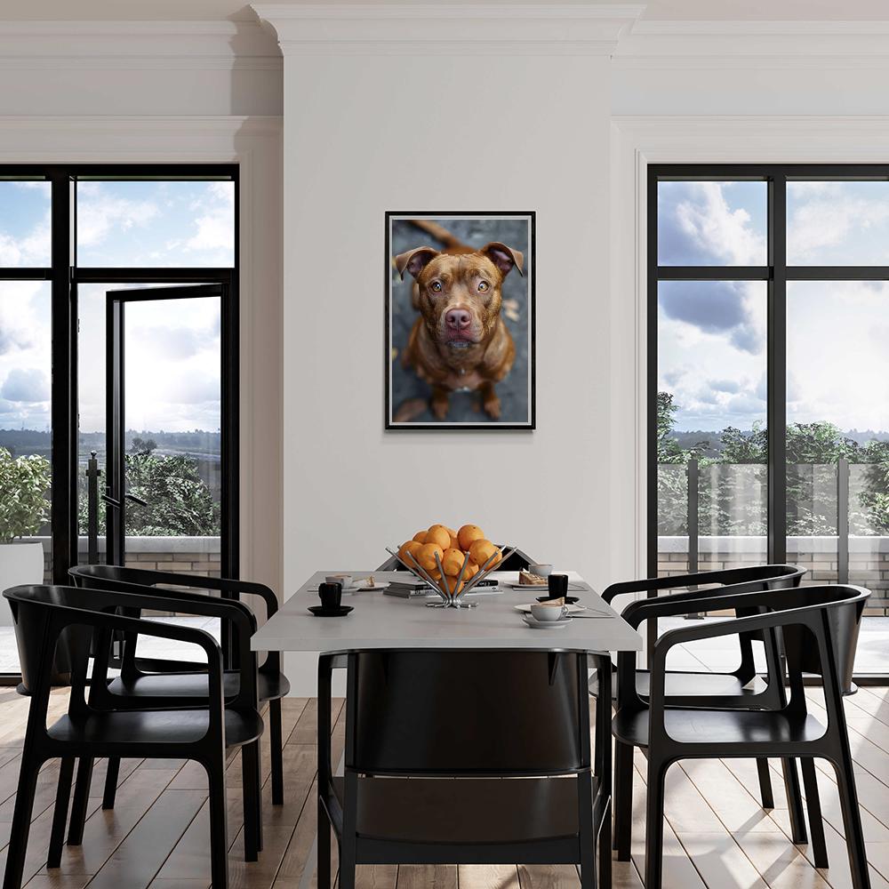 Pitbull en un interior