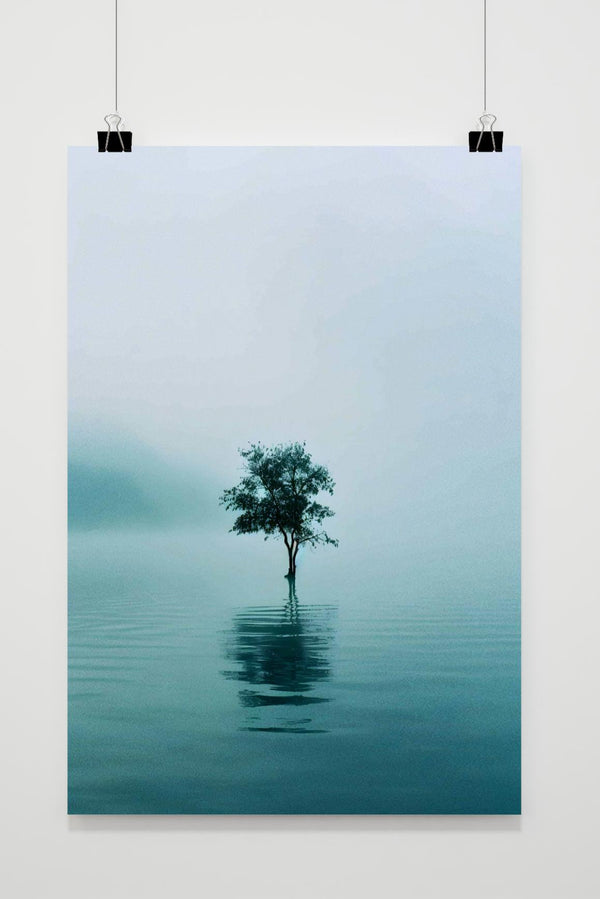 Affiche Zee Boom