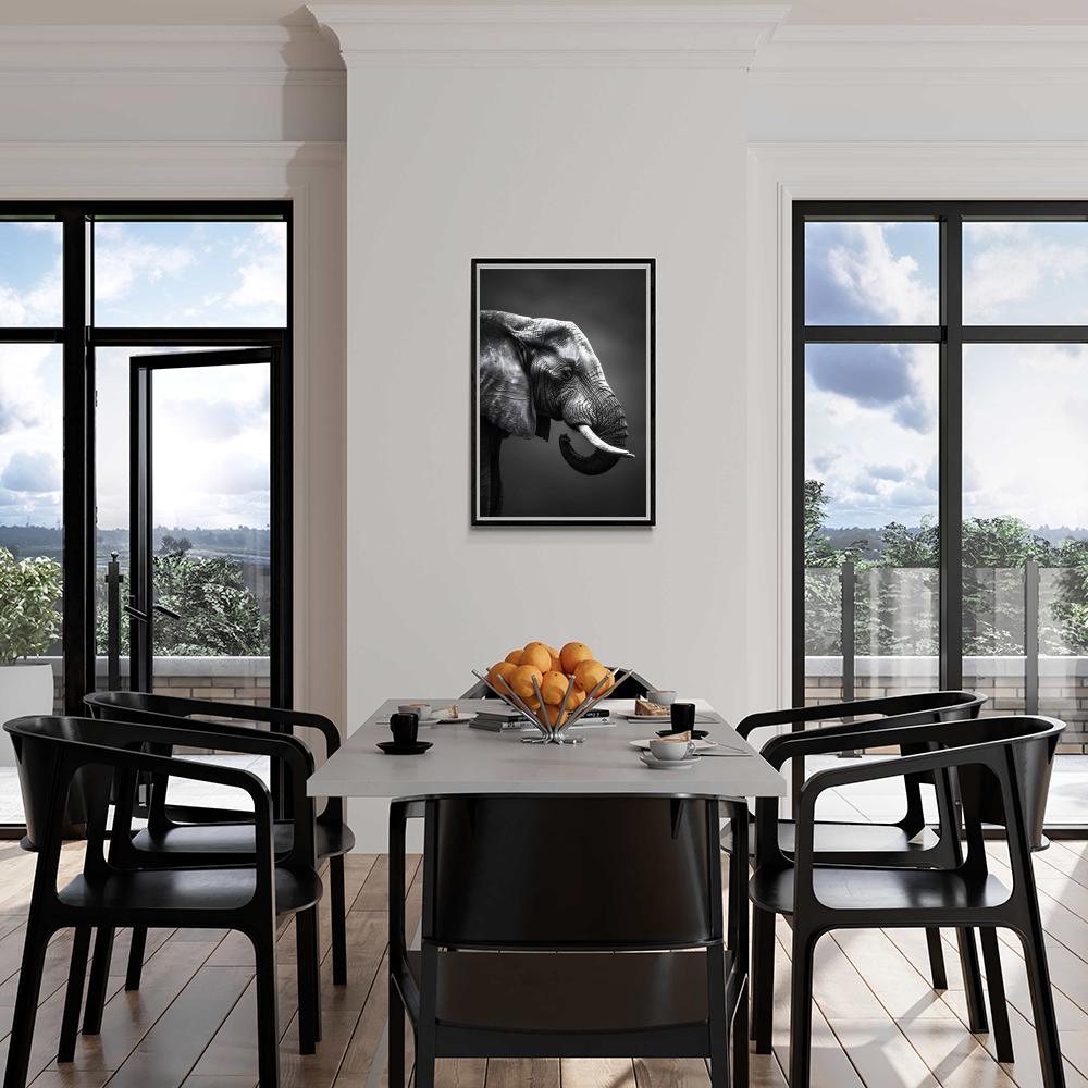 Olifant dans un intérieur