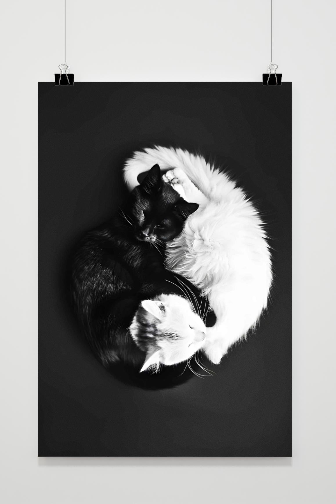 Affiche YingYang Chats de 25 Artstreet