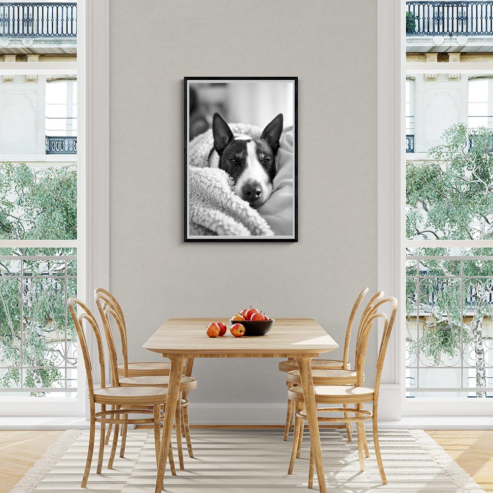 Bull Terrier dans un intérieur
