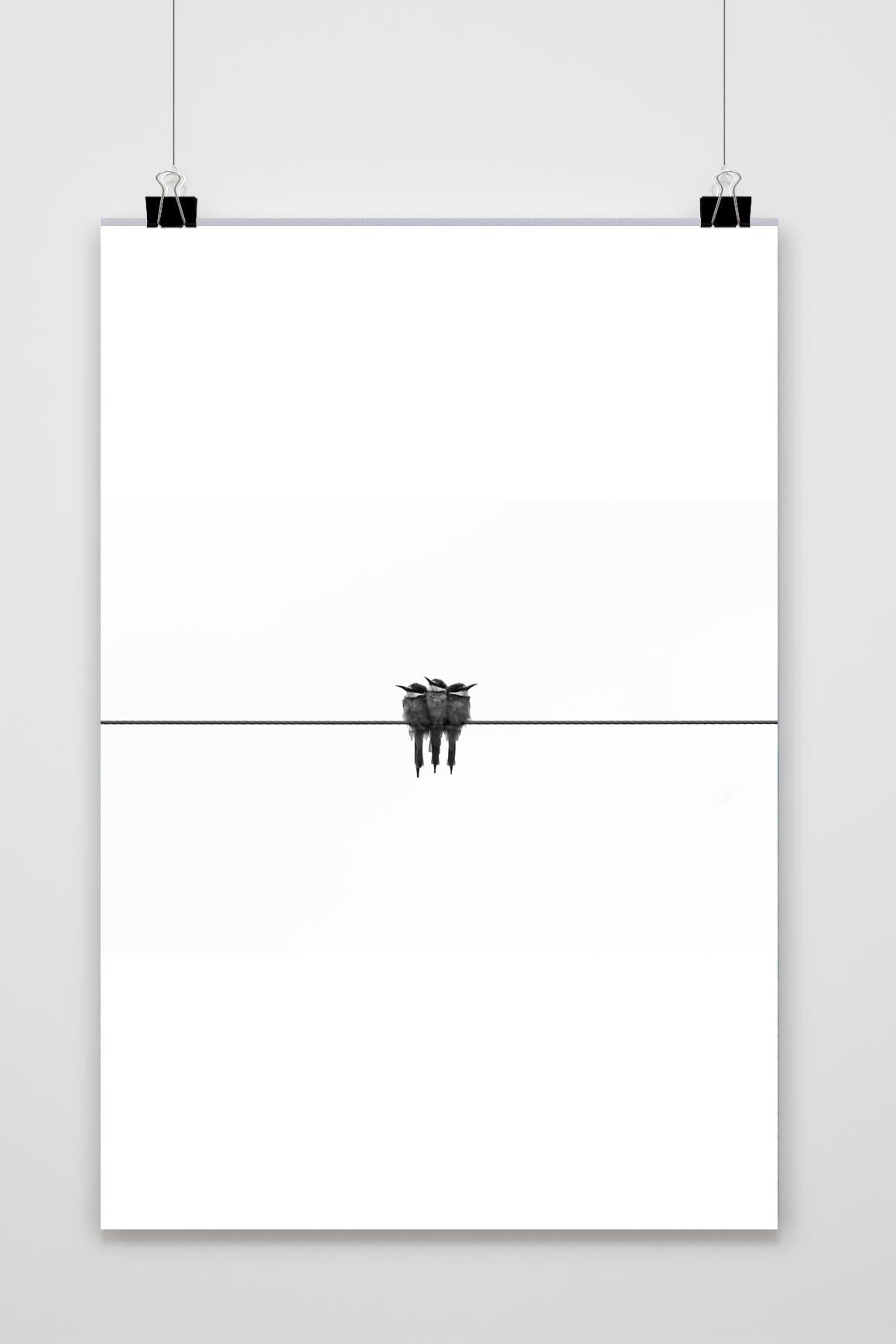 Vogels Zwart Wit poster