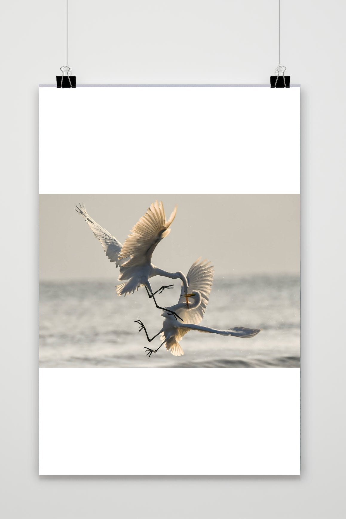 Vogels Gevecht poster