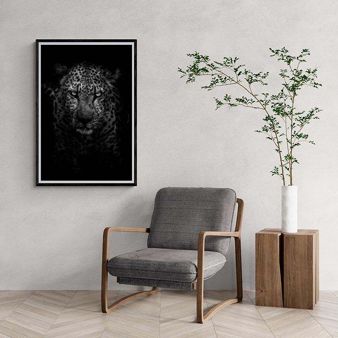 Jaguar Noir et Blanc dans un intérieur