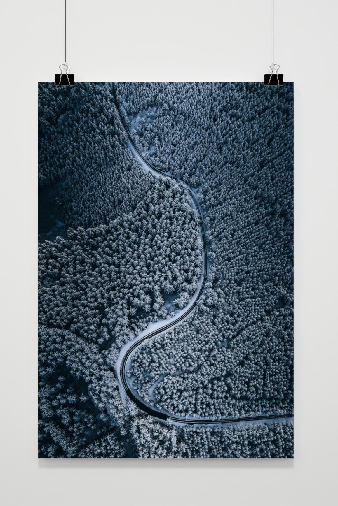 Affiche Chemin en Forêt de 25 Artstreet