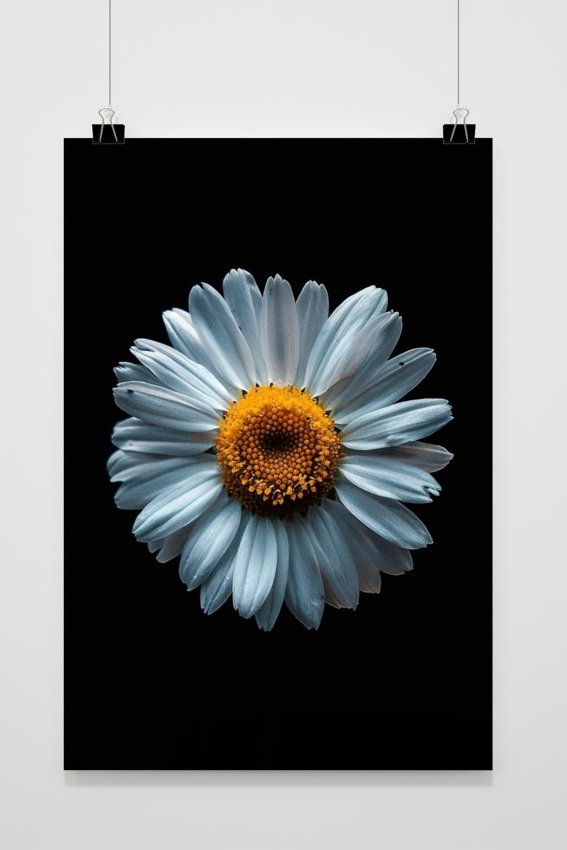 Affiche Marguerite de 25 Artstreet