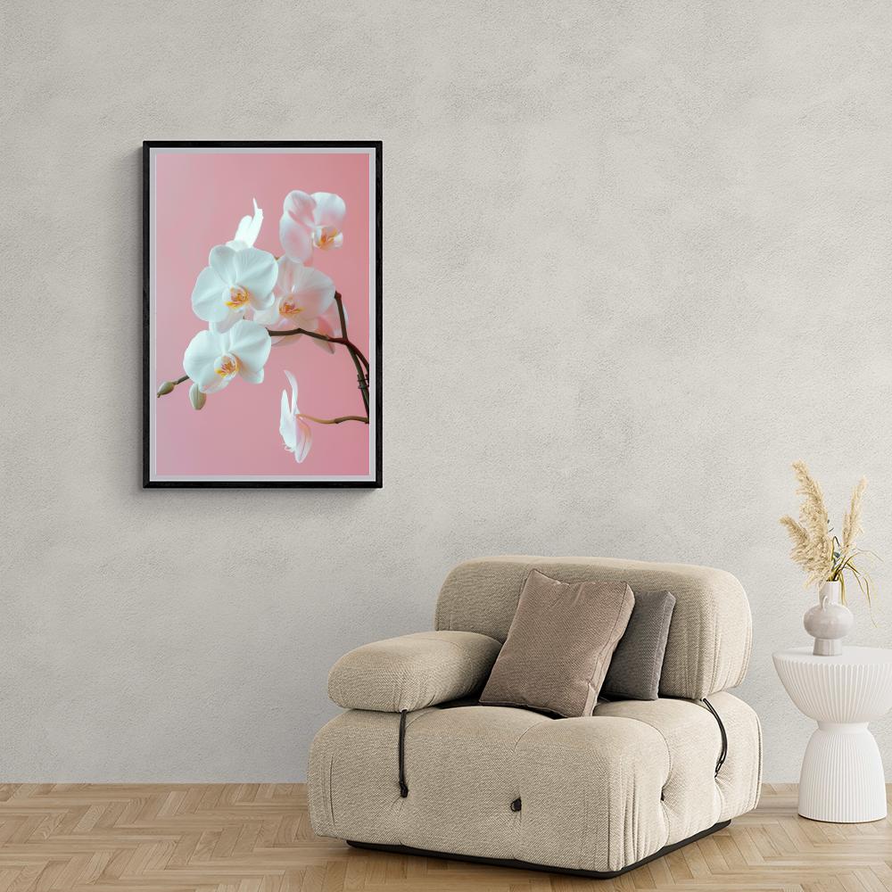 Orchidée Blanche dans un intérieur