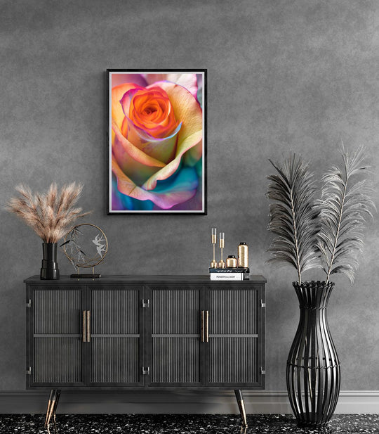 Rainbow Rose