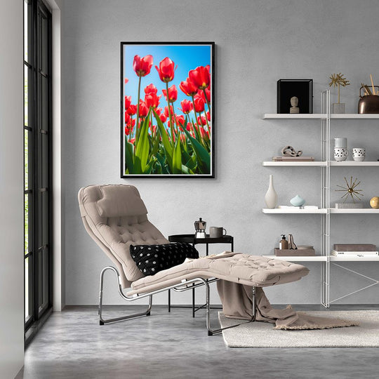 Tulpen Blauwe Lucht