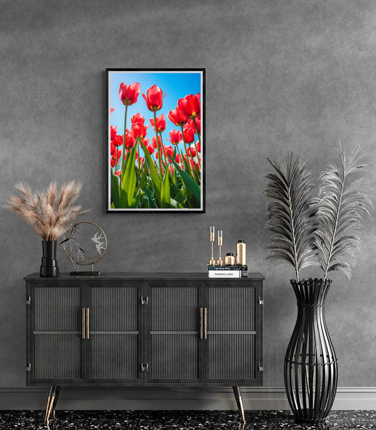 Tulpen Blauwe Lucht