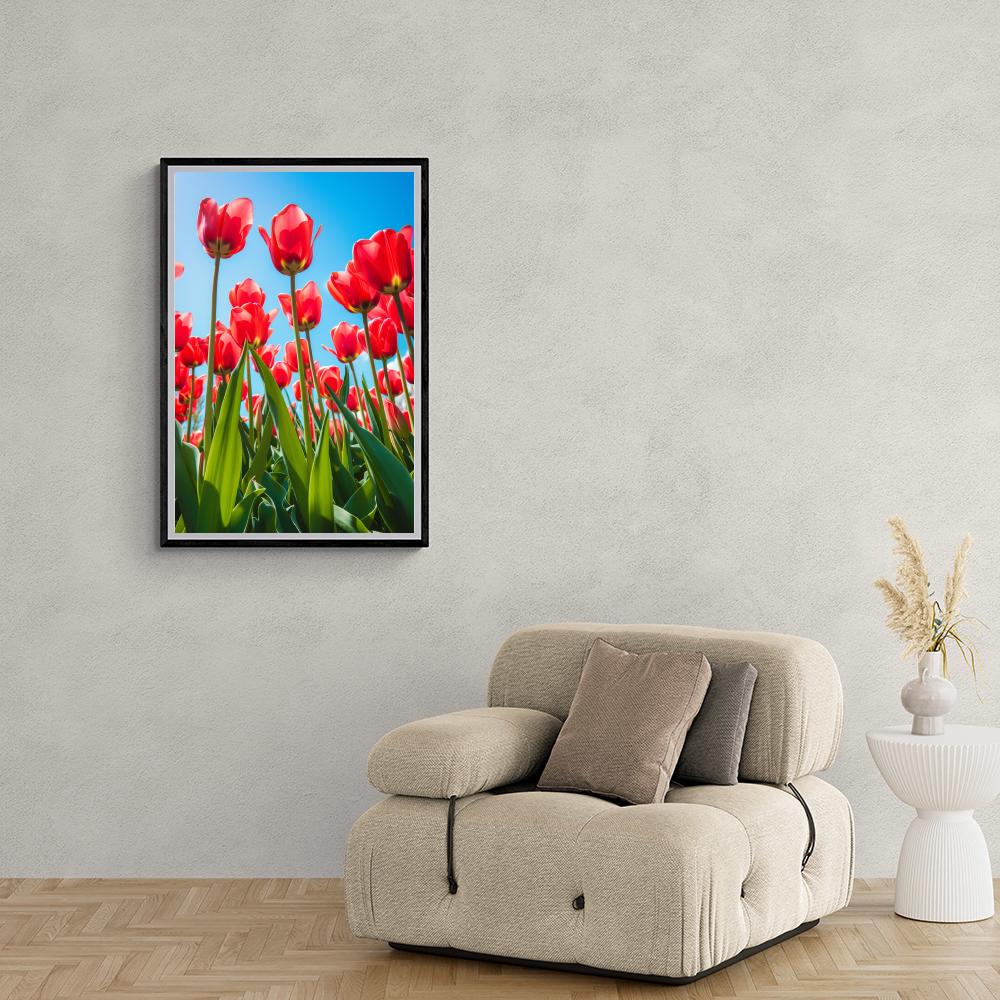 Tulpen Blauwe Lucht