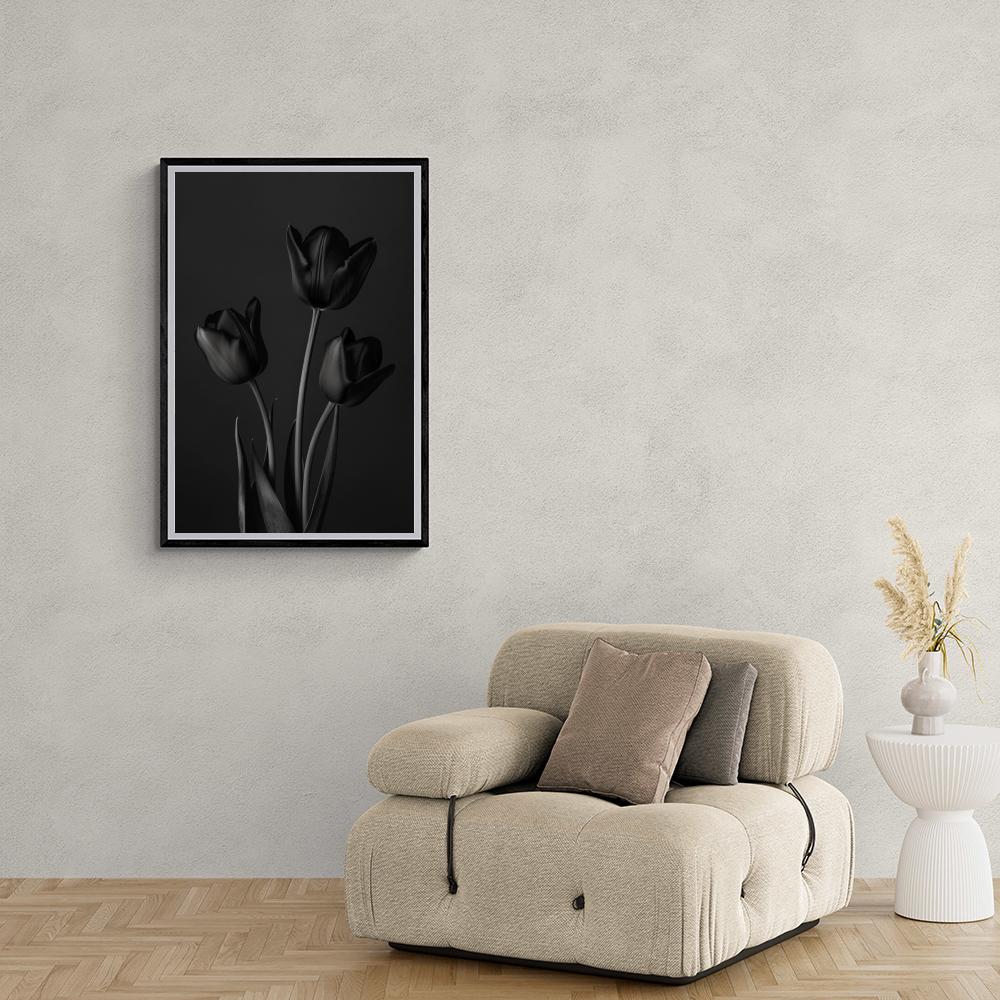 Tulipes Noir et Blanc dans un intérieur