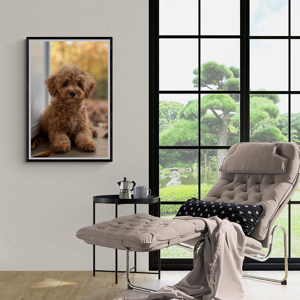 Chiot Caniche dans un intérieur