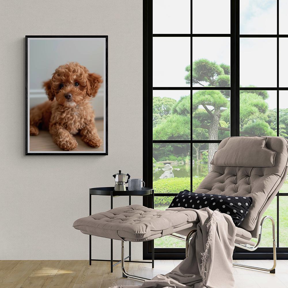 Chiot Caniche Brun dans un intérieur