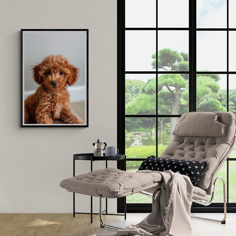 Adorable Chiot Caniche dans un intérieur