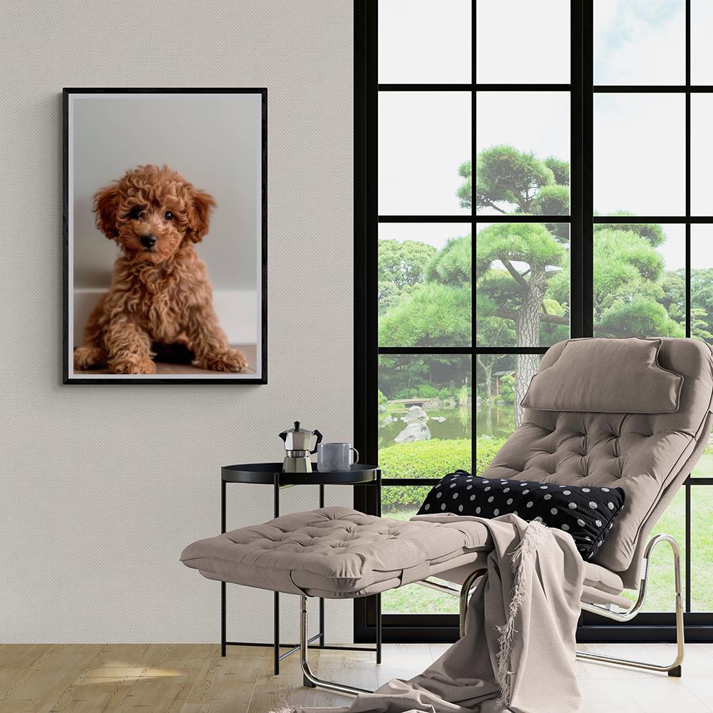 Chiot Caniche dans un intérieur