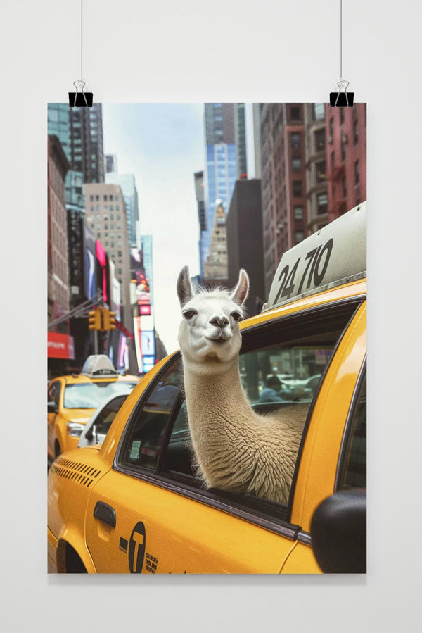 Póster Llama In Transit