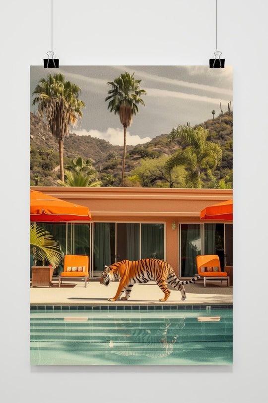 Tiger at the pool