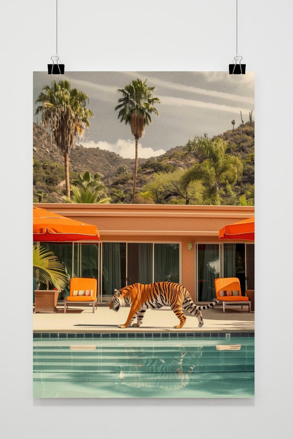 Tiger Am Pool Poster