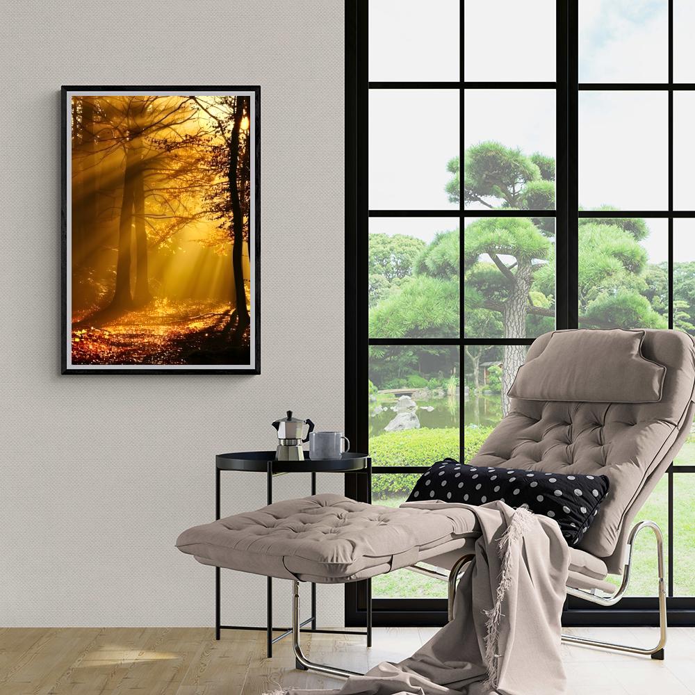Rayons de Soleil en Forêt dans un intérieur